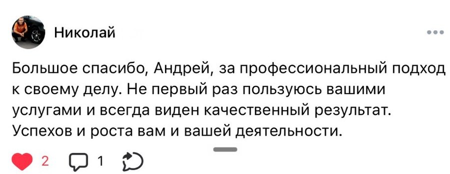 Отзыв клиента Николай о химчистке